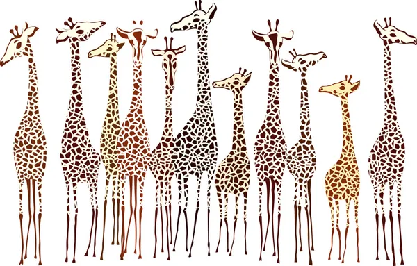 Girafes Illustrations De Stock Libres De Droits