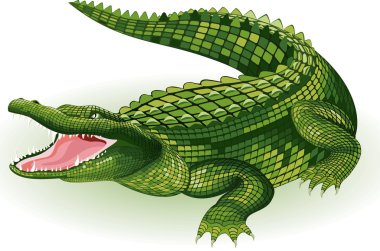 Crocodile clipart