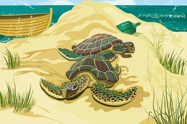 Zeeschildpadden — Stockvector