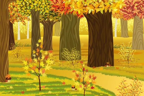 Droom herfst bos — Stockvector
