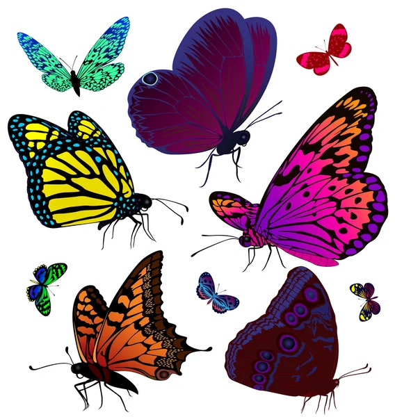 A színes pillangók tetoválás készlet — Stock Vector