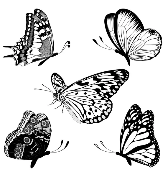 Conjunto de borboletas brancas pretas de uma tatuagem —  Vetores de Stock