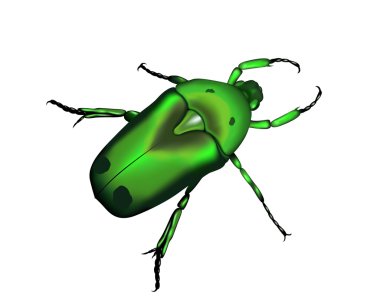 Beetle a silhouette in vector clipart