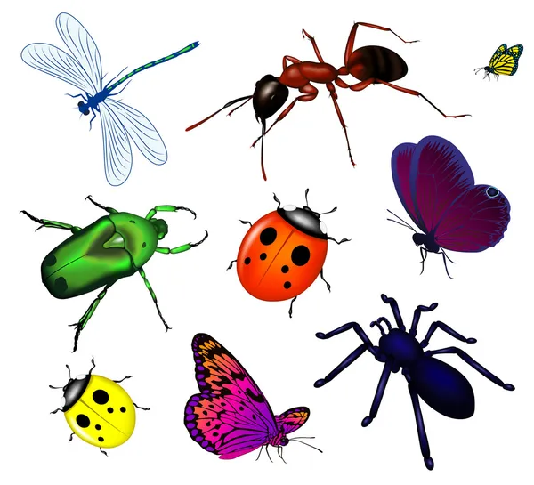 Uppsättning av olika insekter — Stock vektor