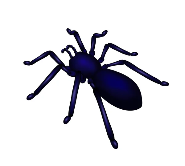 Вектор павук — стоковий вектор