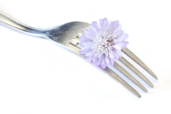 Blomma och gaffel — Stockfoto