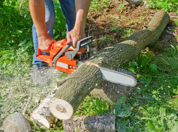 Man with chainsaw — Stock Photo, Image