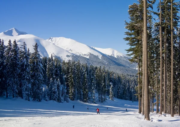 Pista de esquí alpino en invierno Bulgaria — Foto de Stock