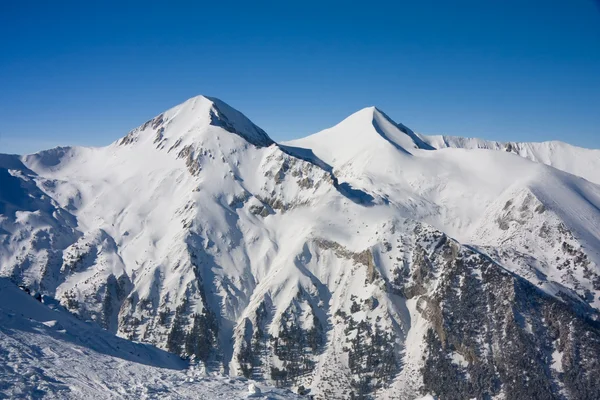 Winter bergen landschap in zonnige dag — Stockfoto