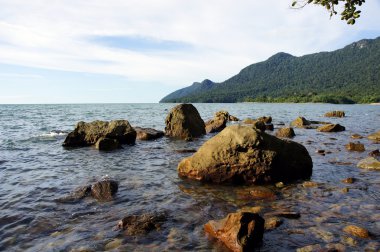 borneo Güney Çin Denizi.