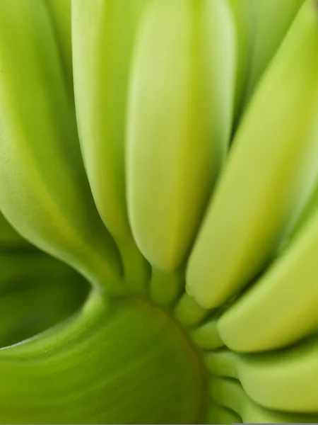 Bananes fraîches — Photo