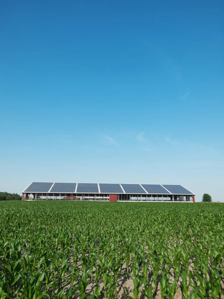 Granja y panel solar — Foto de Stock