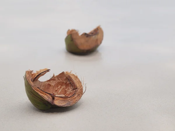 Conchiglie di cocco — Foto Stock