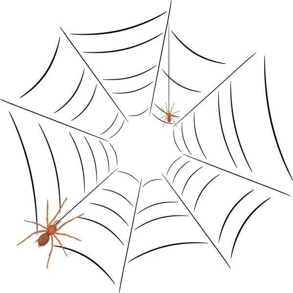 Zwei Spinnen auf dem Spinnennetz — Stockvektor
