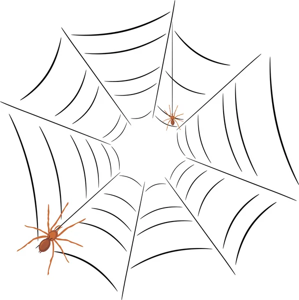 Stock vector Two spiders on the spiderweb