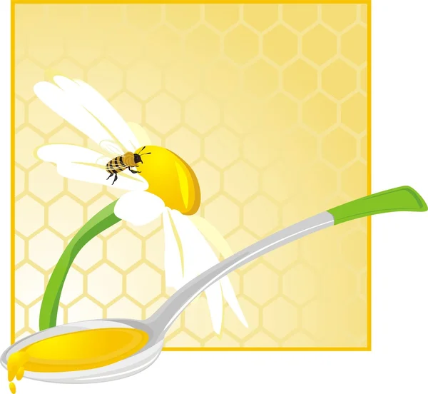 Sked med blommig honung — Stock vektor