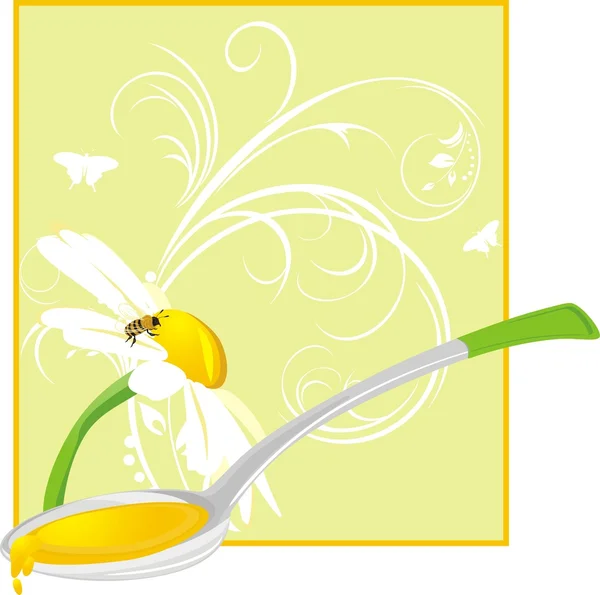 Kamille und Löffel mit Blütenhonig — Stockvektor