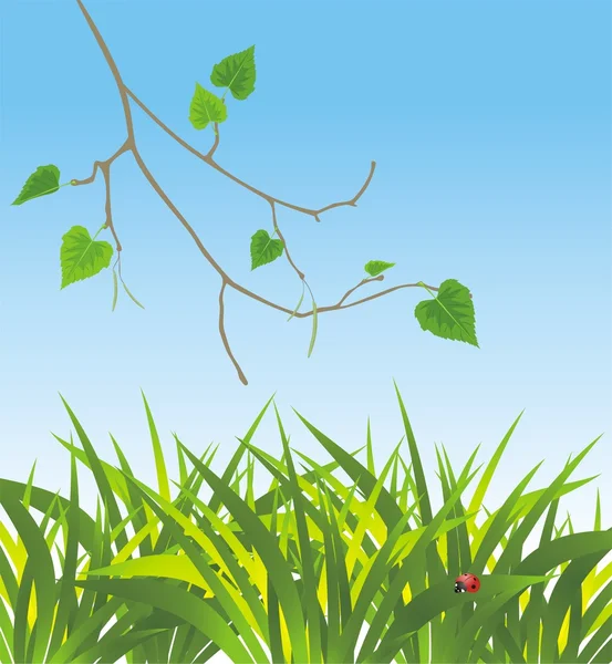 Трава и веточка березы. Весенний состав — стоковый вектор