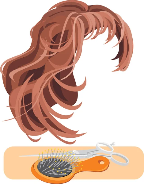Cheveux, ciseaux et brosse à cheveux isolés sur le blanc — Image vectorielle