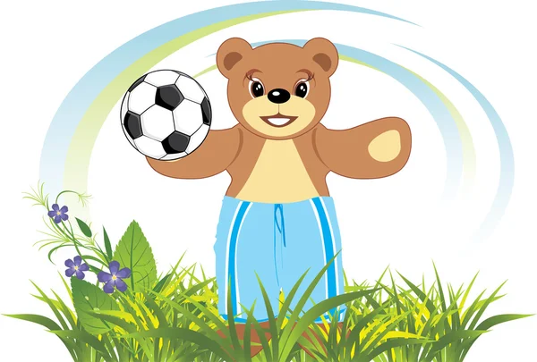 Bruin with soccer ball on the meadow — Stock Vector