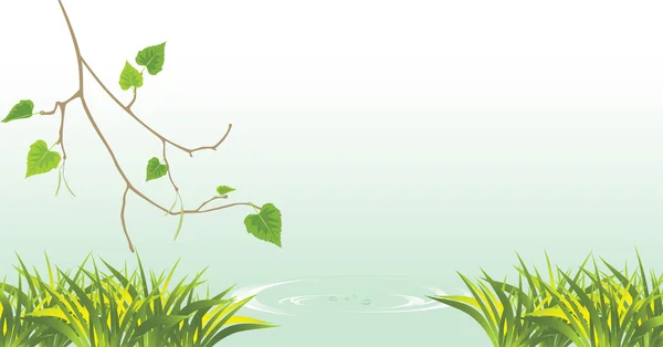 Bouleau et herbe à la rivière — Image vectorielle