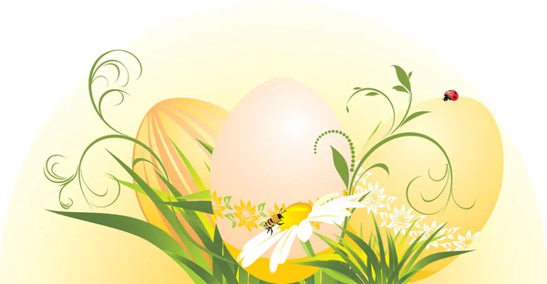 Uova di Pasqua con camomilla ed erba — Vettoriale Stock