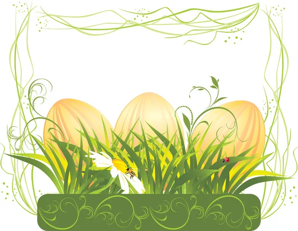 Easter eggs with grass and chamomile in the decorative frame — Stock Vector