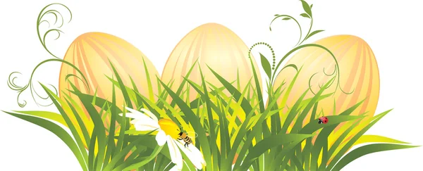 Ostereier im Gras mit Kamille — Stockvektor