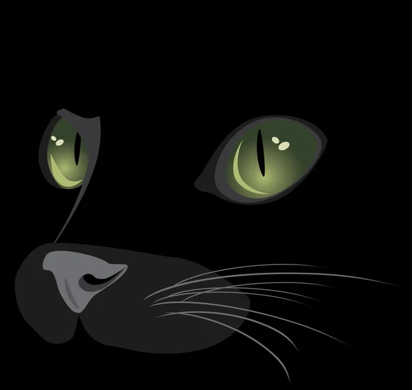 Muzzle of black cat — Stock Vector