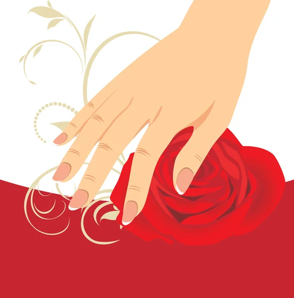 女性の手と赤いバラ — ストックベクタ