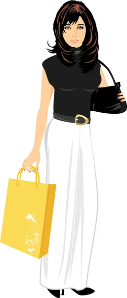 Elegant beautiful woman with handbag and package — Stock Vector