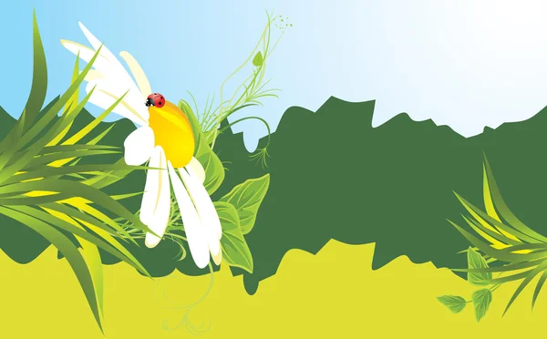 Kamille en lieveheersbeestje onder gras. banner — Stockvector