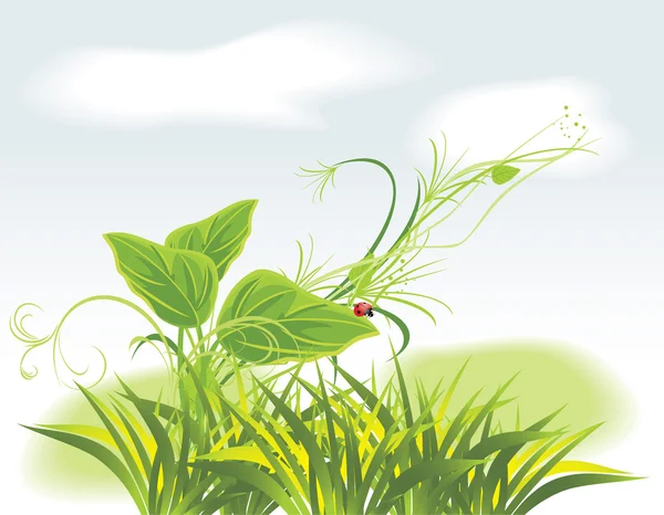 Sprig and ladybird among grass — Stock Vector