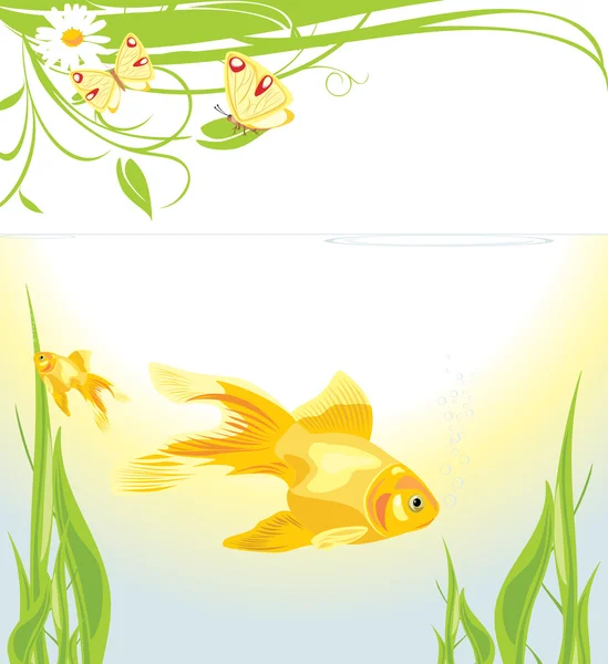 Goldfishes among algae — Stock Vector