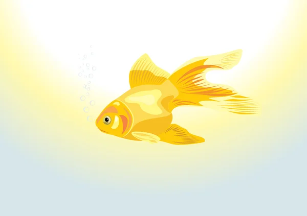 Zlaté rybky — Stockový vektor
