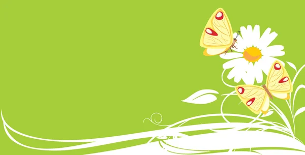 Manzanilla y mariposas. Banner decorativo — Vector de stock