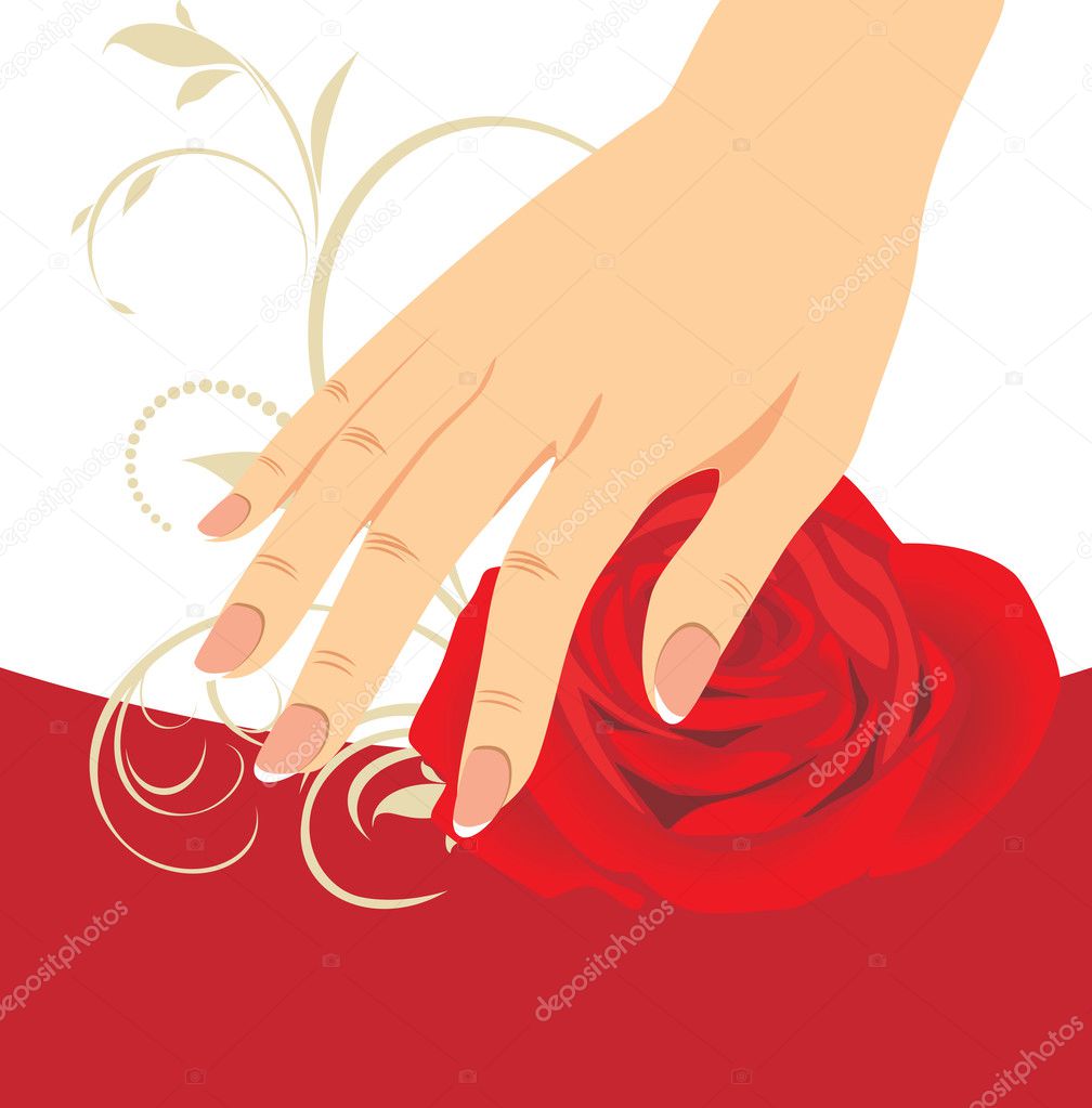 Female hand and red rose