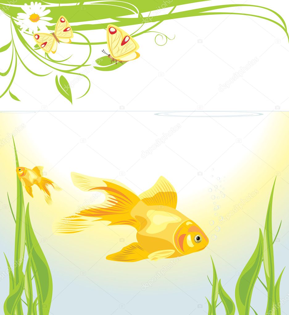 Goldfishes among algae
