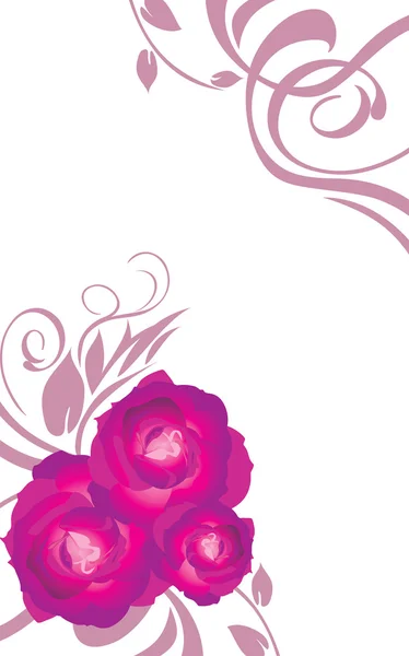 Blumenkarte mit lila Rosen — Stockvektor
