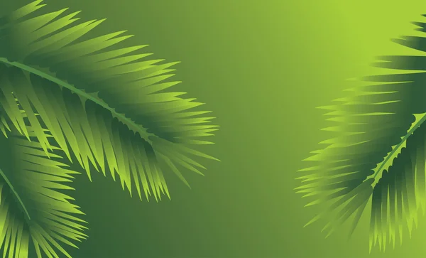 Grenar av palm. abstrakt bakgrund — Stock vektor