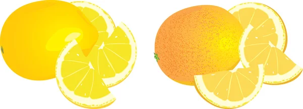 Lemon and orange — Stock Vector
