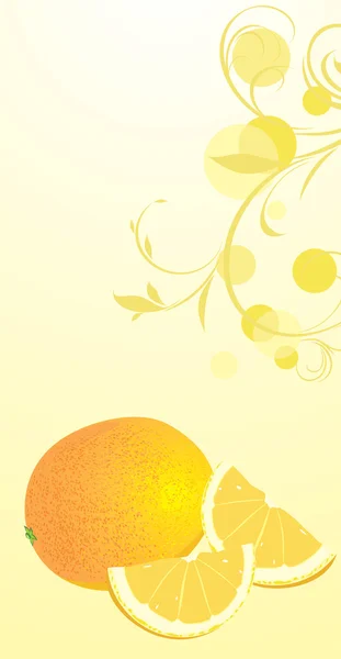 Orange på floral bakgrund — Stock vektor