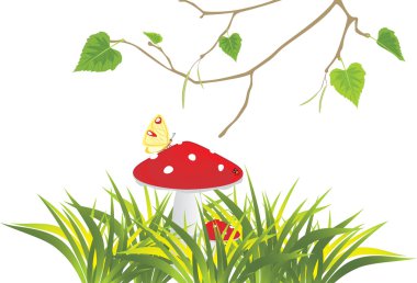 Fly agaric mushrooms in grass and birch sprig clipart