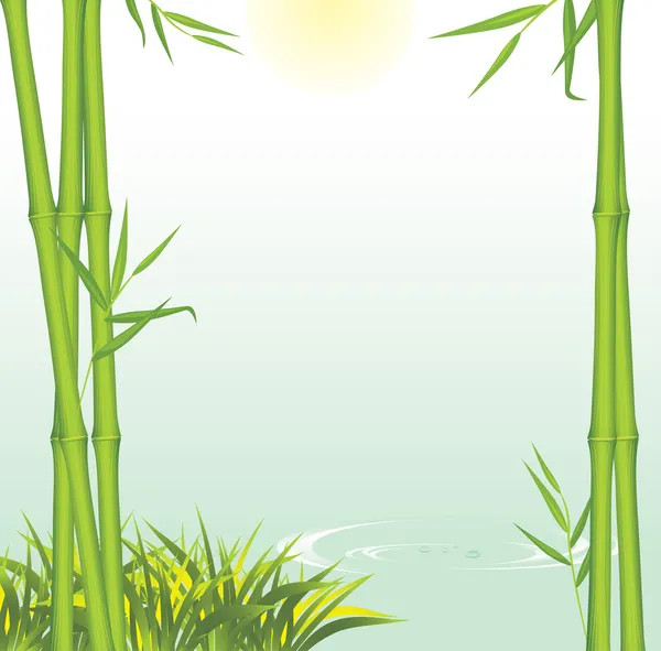 Bambú verde creciendo en la orilla del río — Vector de stock
