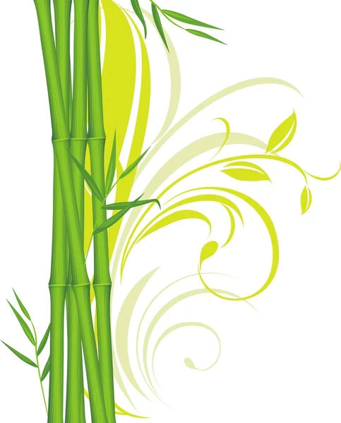 Green bamboo with floral ornament — Stock Vector
