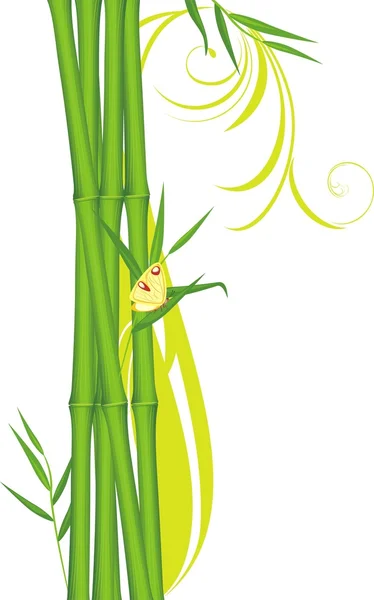 Green bamboo with butterfly — Stock Vector