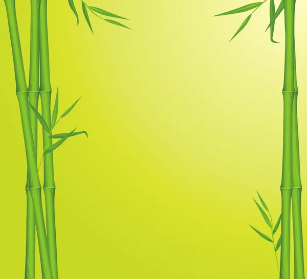 Bambu verde. Contexto para o cartão — Vetor de Stock