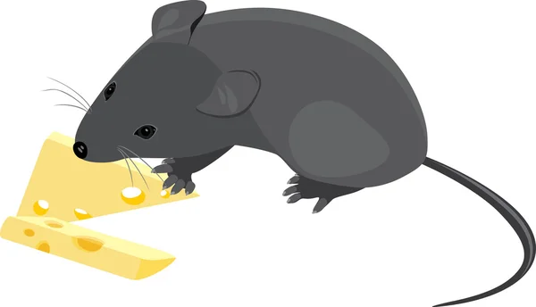 Mouse de campo com pedaços de queijo —  Vetores de Stock