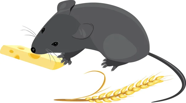Ratón de campo con espiga de trigo y trozo de queso — Archivo Imágenes Vectoriales