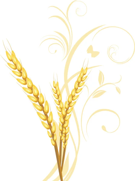 Tres espigas de trigo con adorno floral — Vector de stock